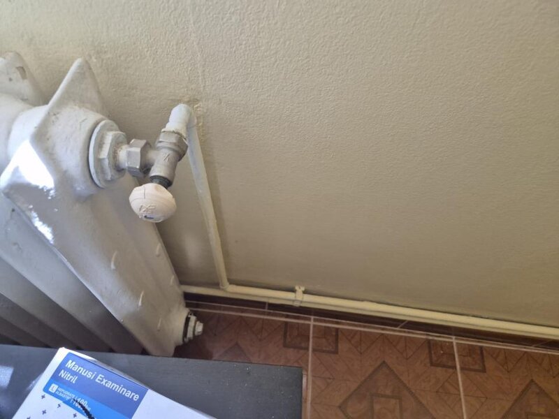 Vidra Apartament cu gradina, foisor si bucatarie de vara in Vidra
