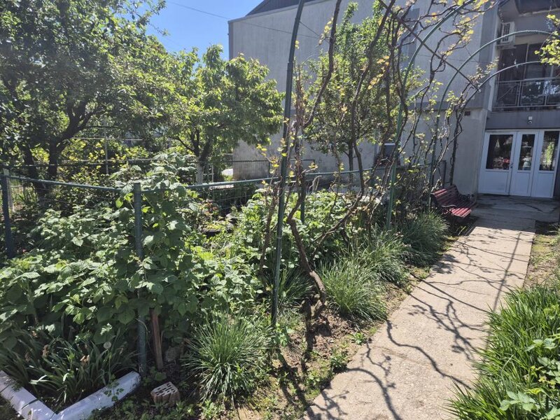 Vidra Apartament cu gradina, foisor si bucatarie de vara in Vidra