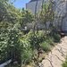 Vidra Apartament cu gradina, foisor si bucatarie de vara in Vidra